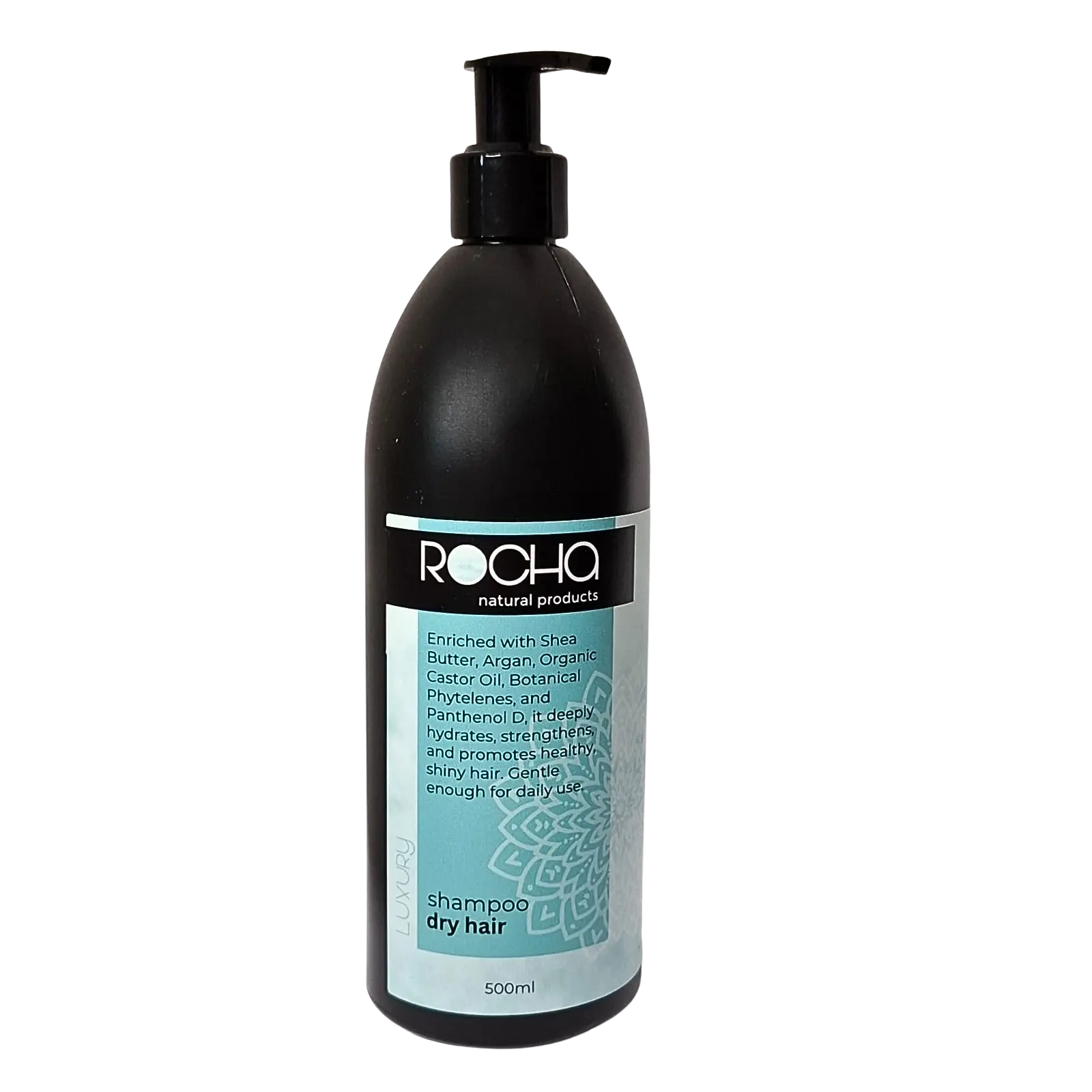 Shampoo Dry Hair