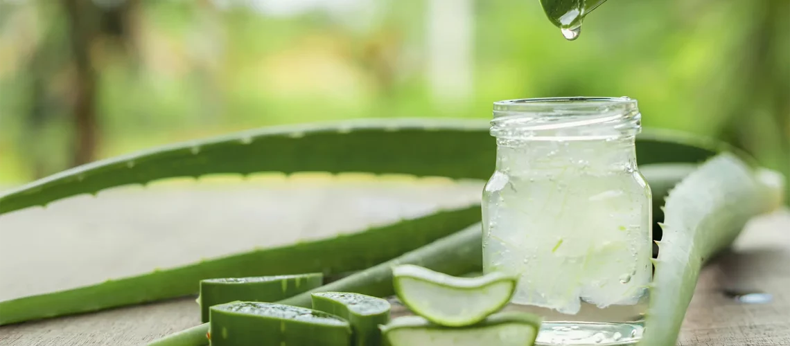 aloe vera for skincare